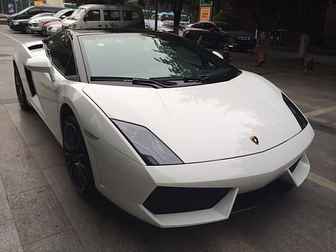 金龍大巴標準型